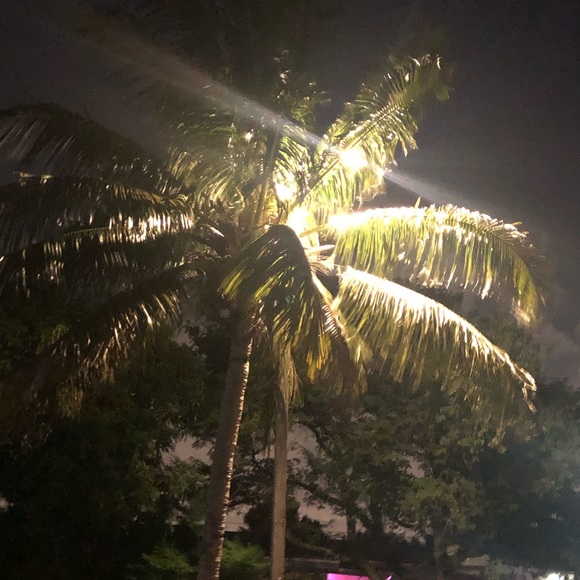 Meet your Posher, Mirta - Picture 2 of 2